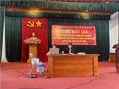 Cuộc đấu giá quyền sử dụng 35 lô đất vào mục đích làm nhà ở tại xã Trường Thành, xã Bát Trang, xã An Thắng và Thị Trấn An Lão, Huyện An Lão, Thành phố Hải Phòng